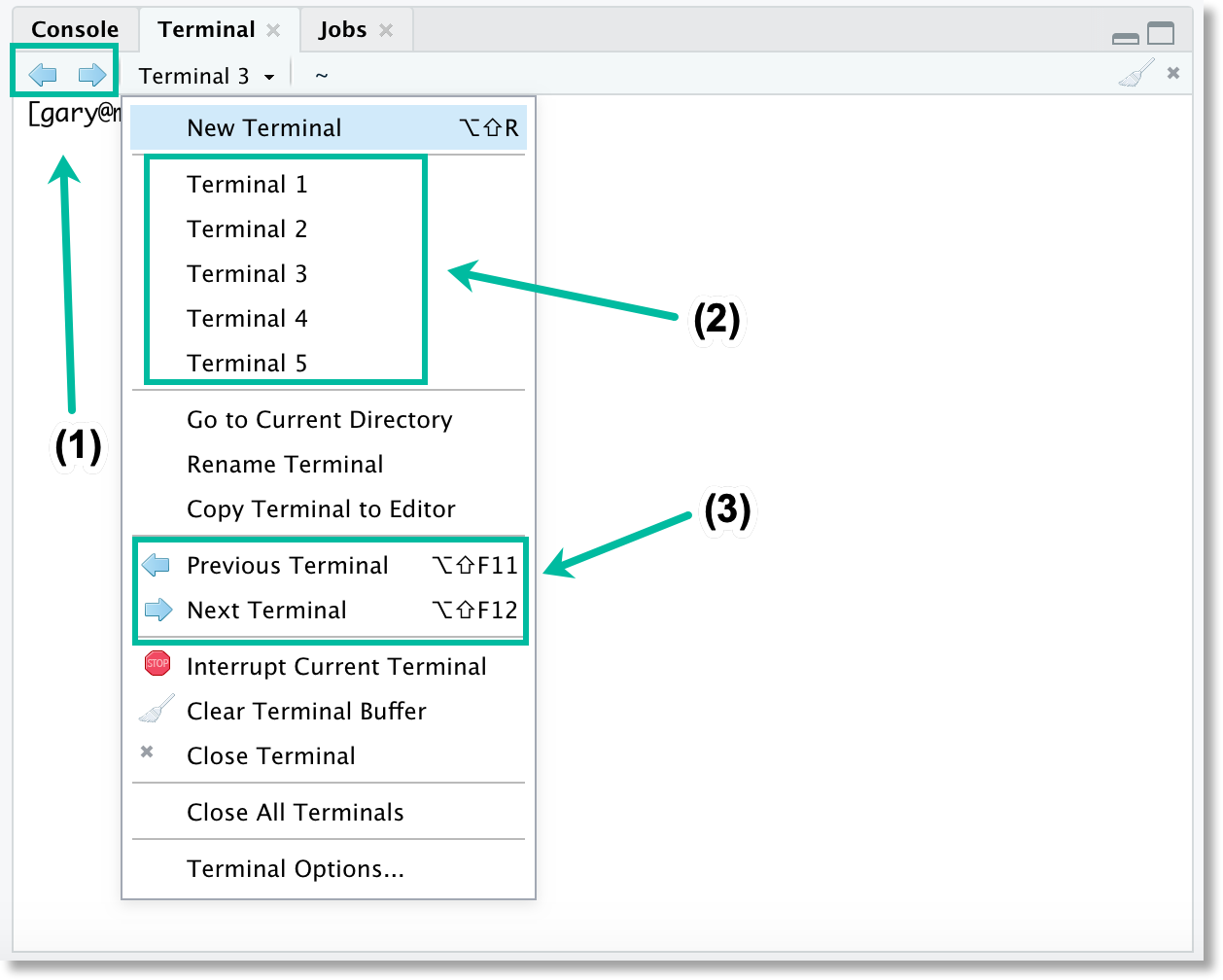 using-the-rstudio-terminal-in-the-rstudio-ide-posit-support