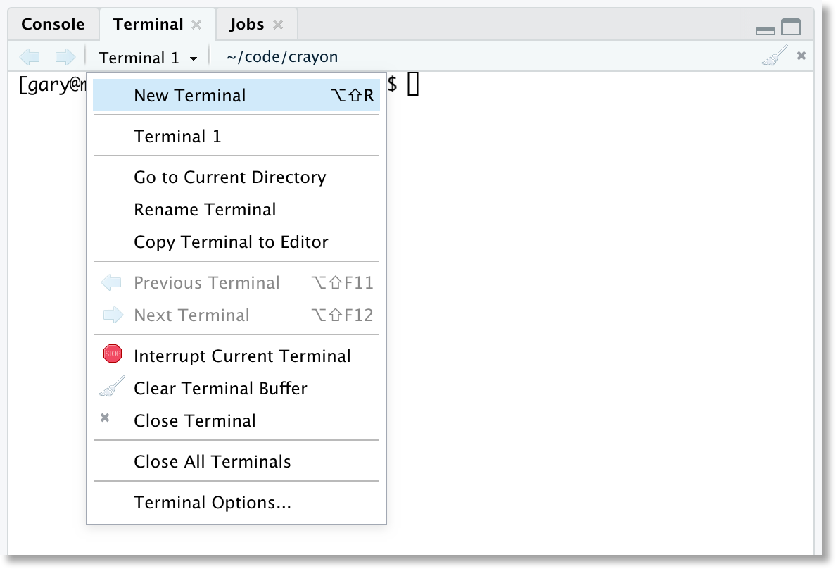 Using the Terminal in the RStudio IDE – Support